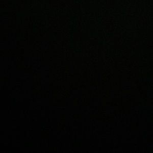 Meet your Posher, Owen